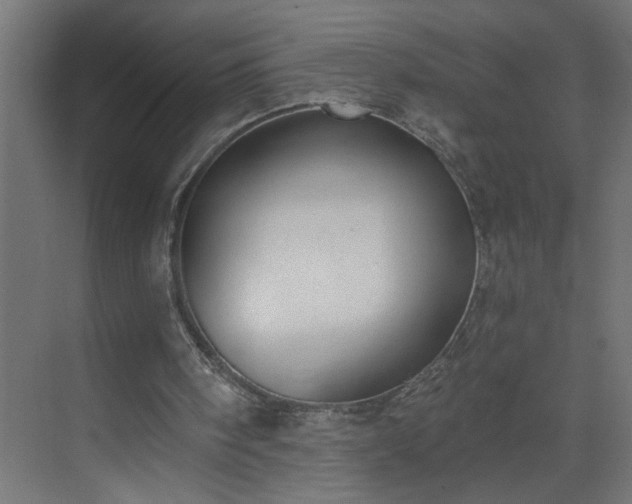 X0000075350098200609151621