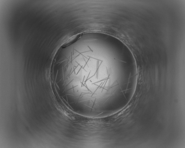 X0000075350099200609151621