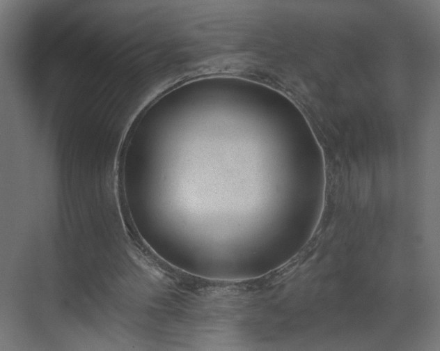 X0000075350100200609151621
