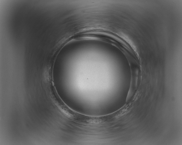 X0000075350105200609151621