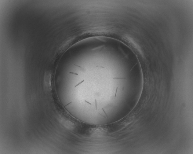 X0000075350115200609151621