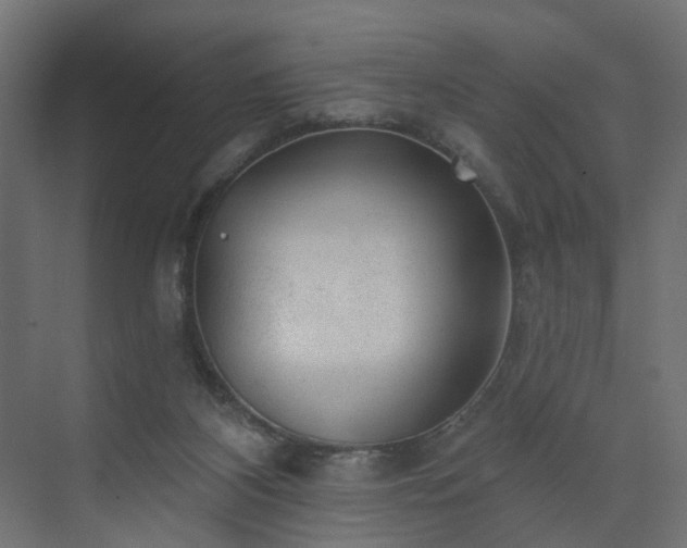 X0000075350116200609151621