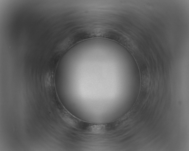 X0000075350126200609151621