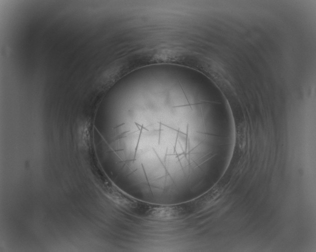 X0000075350127200609151621