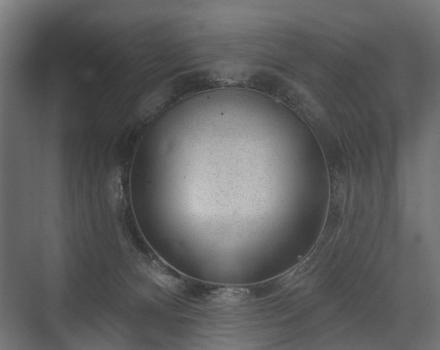 X0000075350128200609151621