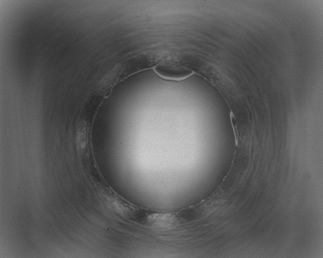 X0000075350133200609151621