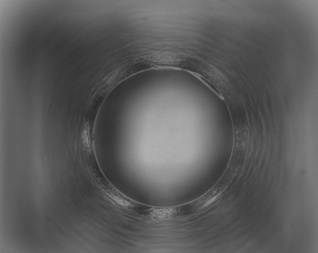 X0000075350143200609151620