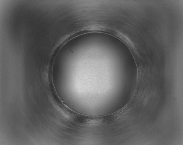 X0000075350155200609151620