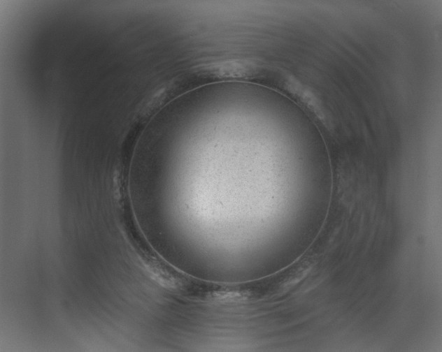 X0000075350161200609151620