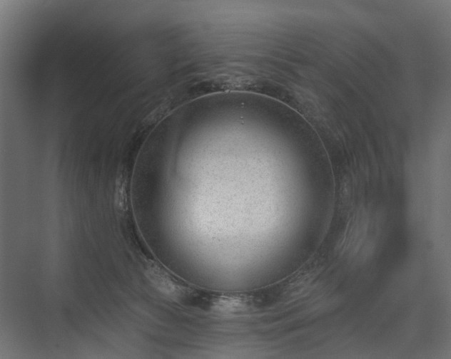 X0000075350177200609151620