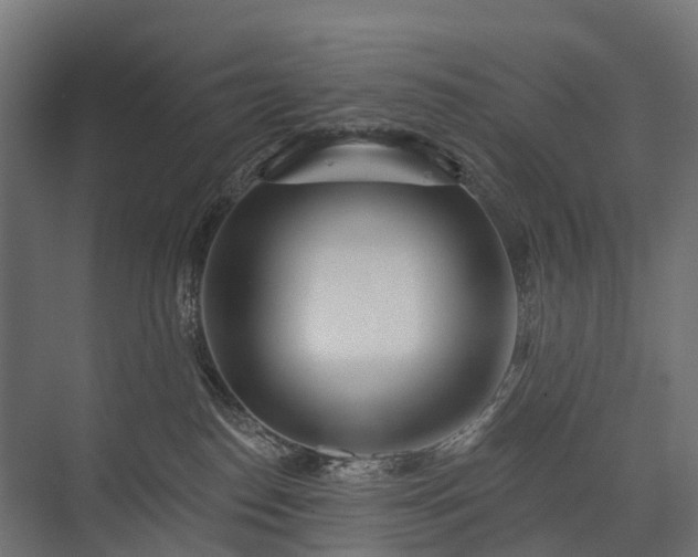 X0000075350186200609151620