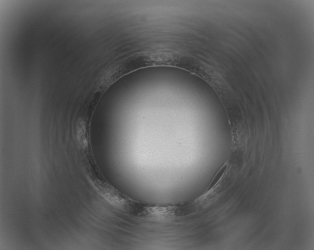 X0000075350187200609151620