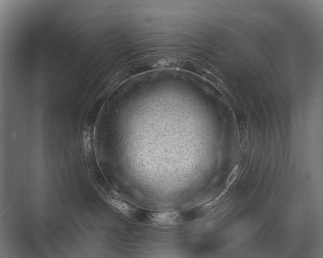 X0000075350191200609151620