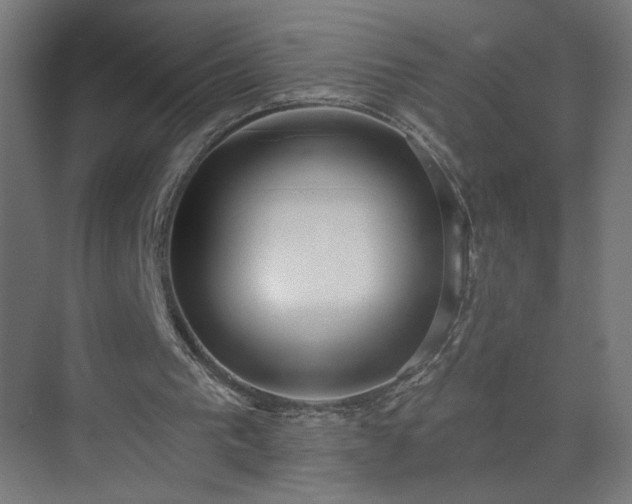 X0000075350193200609151620