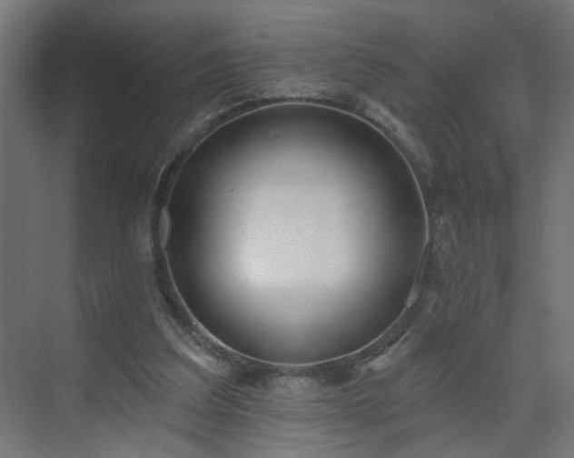 X0000075350203200609151619