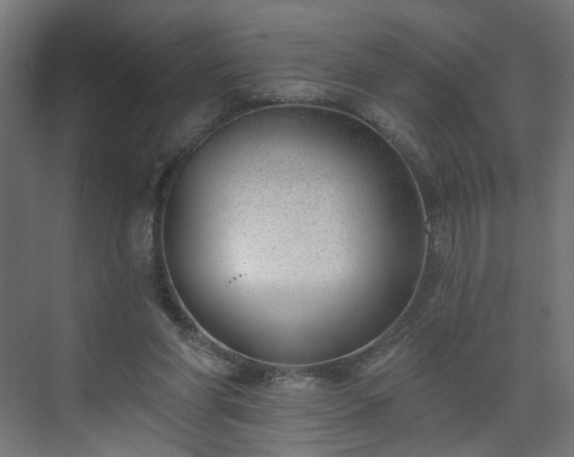 X0000075350206200609151619