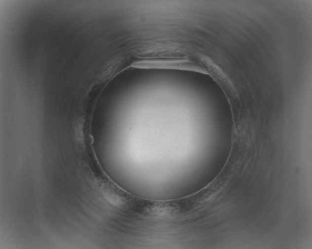 X0000075350209200609151619
