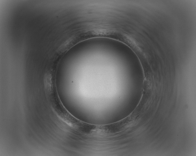 X0000075350211200609151619