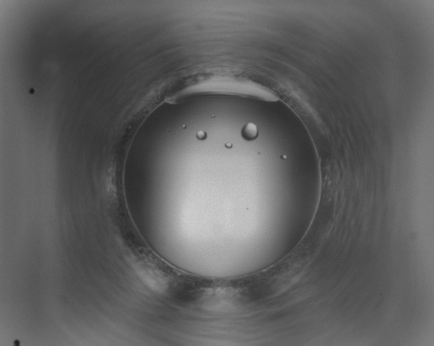 X0000075350212200609151619