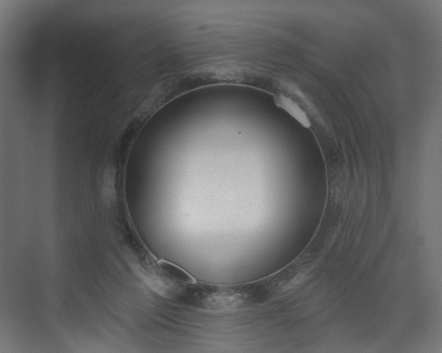 X0000075350213200609151619