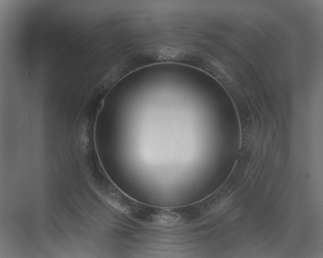 X0000075350215200609151619