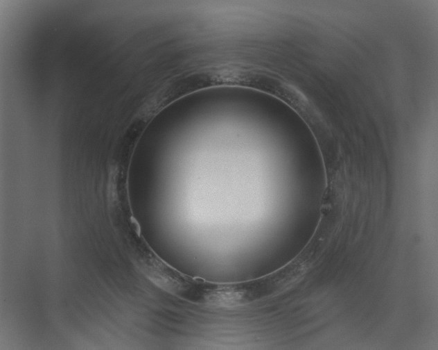 X0000075350217200609151619