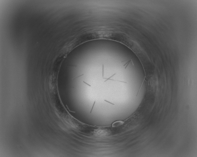 X0000075350218200609151619