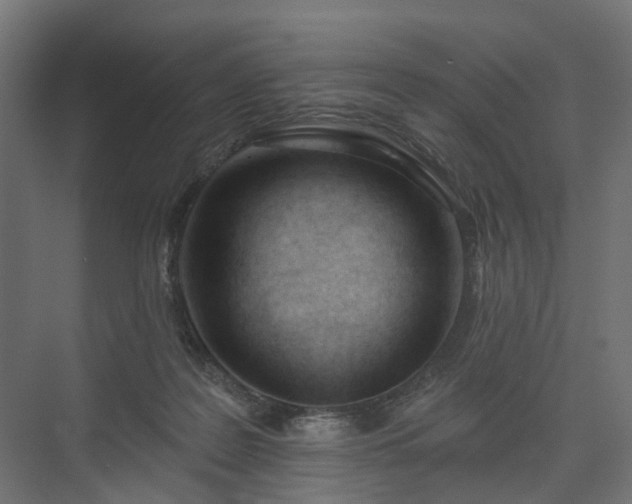 X0000075350219200609151619