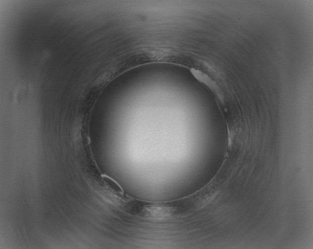 X0000075350221200609151619