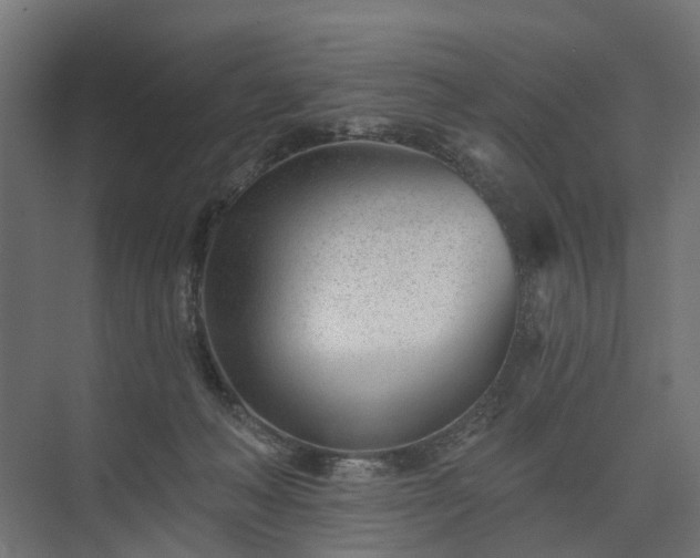 X0000075350222200609151619