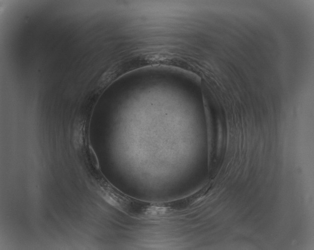 X0000075350227200609151619