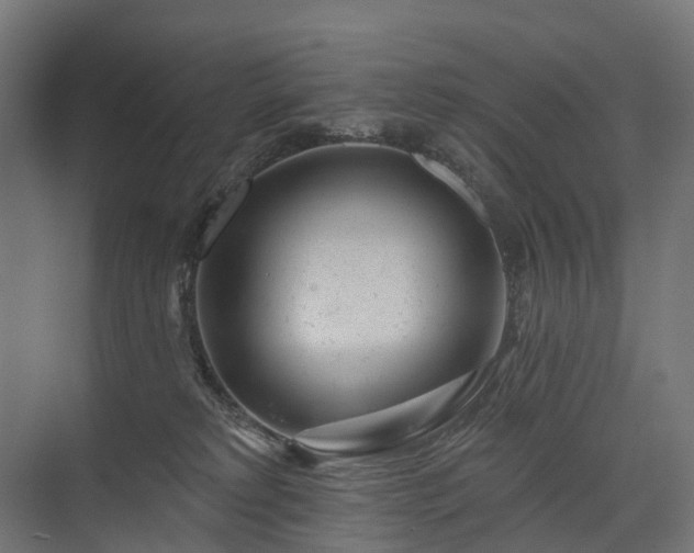X0000075350229200609151619