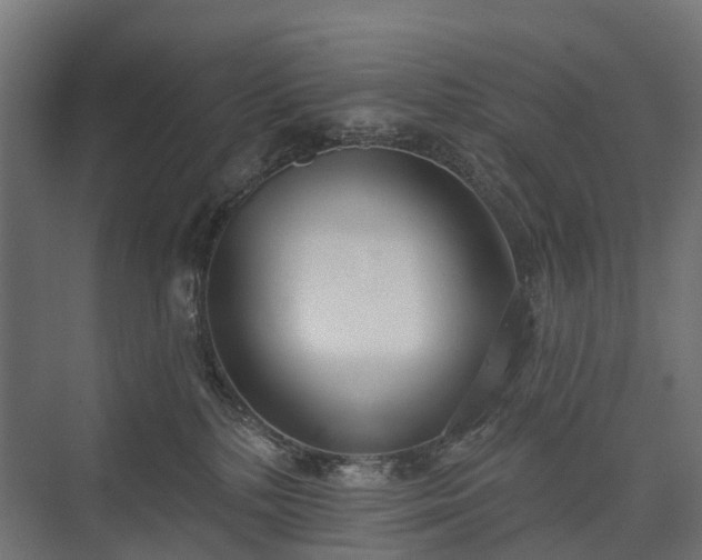 X0000075350232200609151619