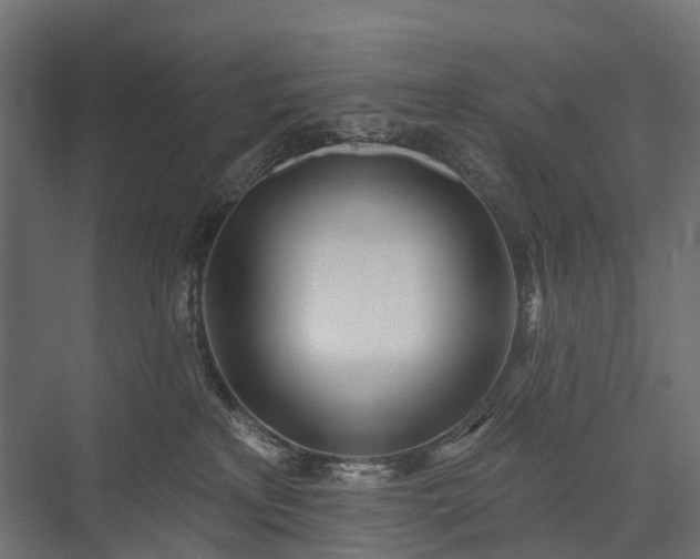 X0000075350233200609151619