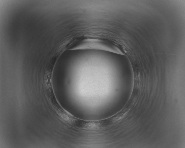 X0000075350237200609151619