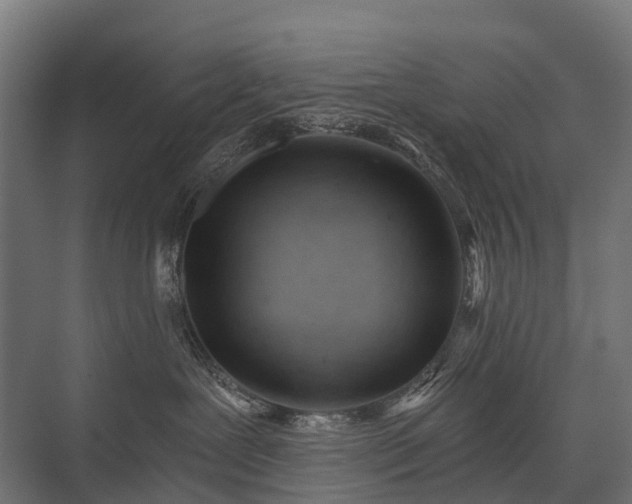 X0000075350239200609151619