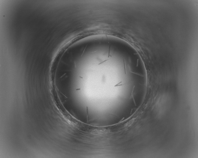 X0000075350245200609151618