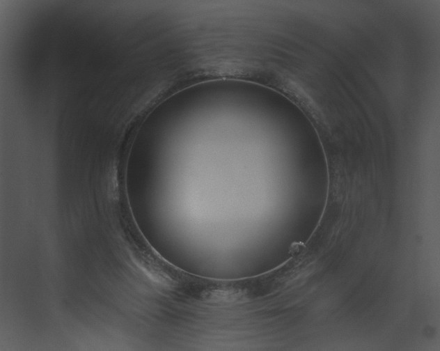 X0000075350251200609151618