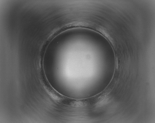 X0000075350253200609151618