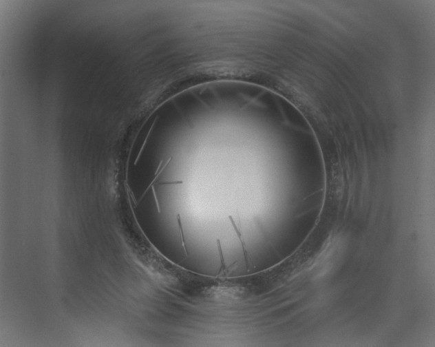 X0000075350255200609151618