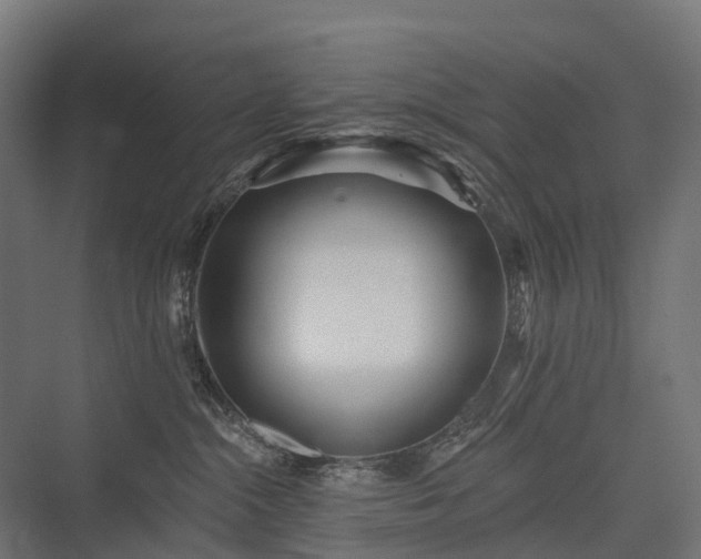 X0000075350284200609151619