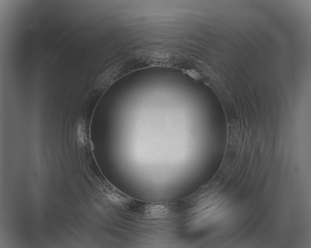 X0000075350287200609151619