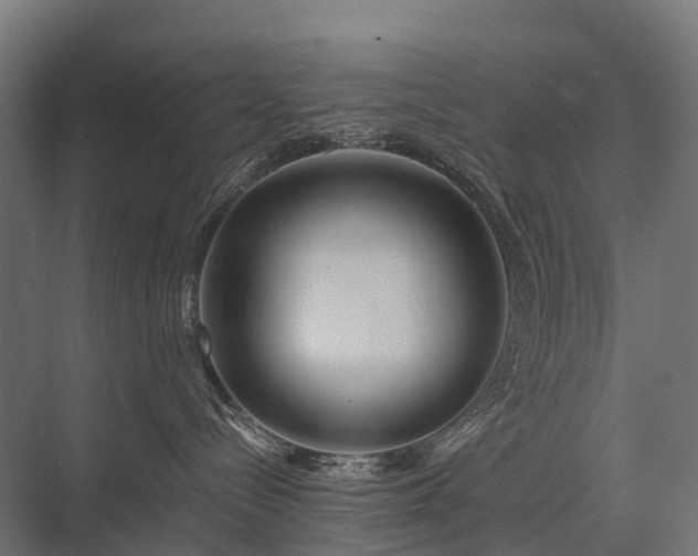 X0000075350288200609151619