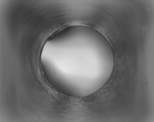 X0000075350289200609151618