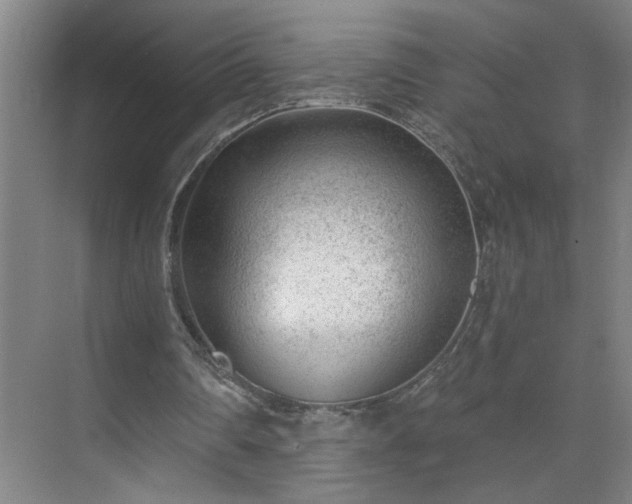 X0000075350290200609151618