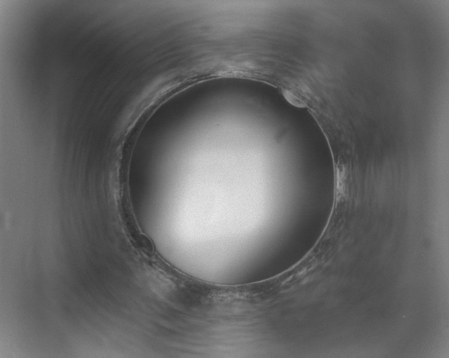 X0000075350291200609151618