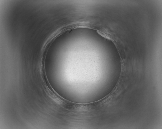 X0000075350293200609151618