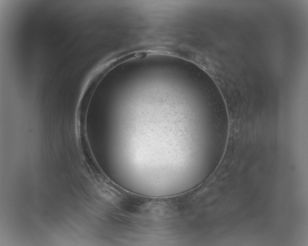 X0000075350294200609151618