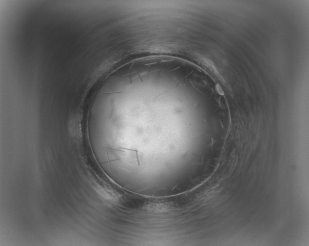 X0000075350299200609151618