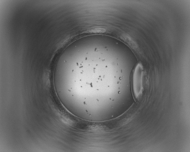 X0000075350300200609151618